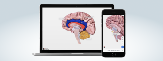 BioDigital Human displayed on laptop and smart phone.